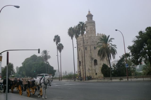 LA HERMANDAD ORGANIZÓ EL PASADO FIN DE SEMANA UN VIAJE A SEVILLA - 41