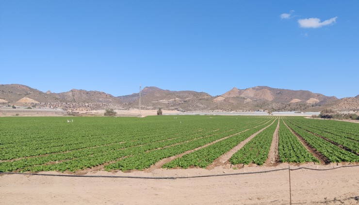 Nuevos cursos gratuitos en el sector agrario y un innovador proyecto europeo de formación tecnológica