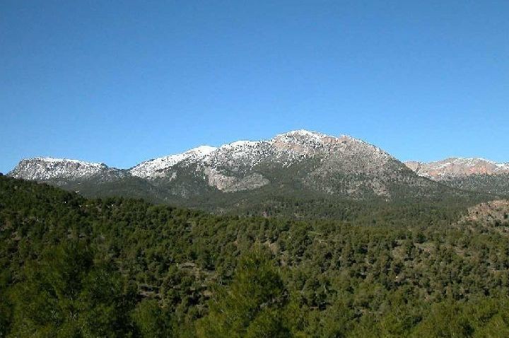 DOS PEQUEÑOS TERREMOTOS HACEN TEMBLAR EL ENTORNO DE SIERRA ESPUÑA