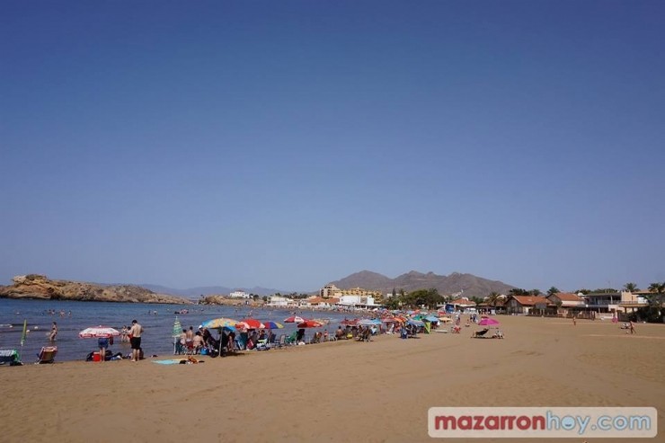 Bandera Verde en todas las playas de nuestro municipio para la jornada de hoy jueves, 14 de Julio