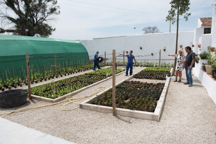 EL VIVERO MUNICIPAL RECUPERA SU ACTIVIDAD