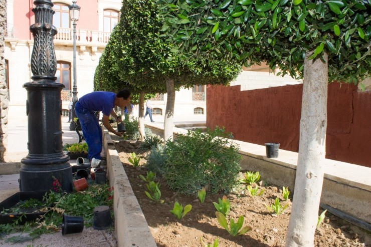 EL VIVERO MUNICIPAL RECUPERA SU ACTIVIDAD