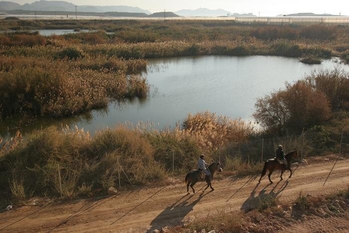 Varias infraestructuras darán valor a la laguna de la Rambla de las Moreras