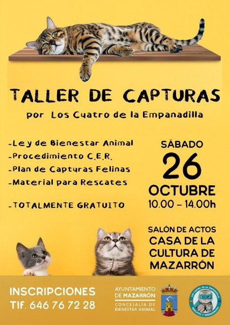 Taller gratuito sobre técnicas avanzadas de captura y rescate de gatos