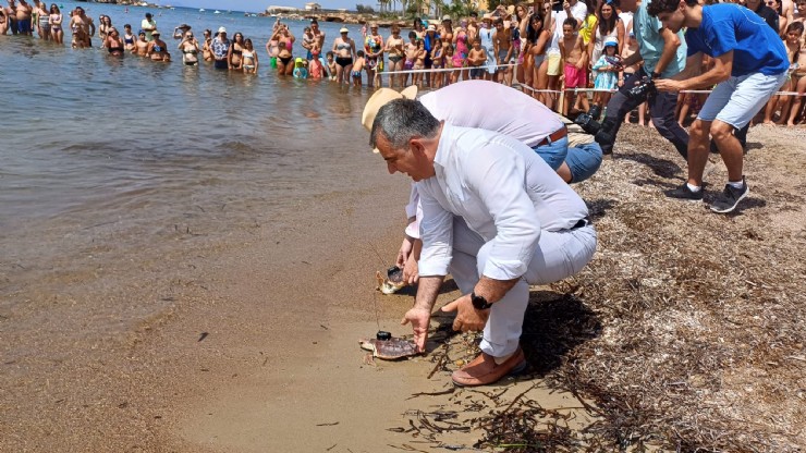 Medio Ambiente devuelve al mar otros 20 ejemplares de tortuga boba