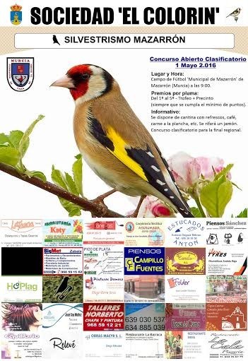 CONCURSO ABIERTO CLASIFICATORIO. Silvestrismo Mazarrón. 1 de mayo.