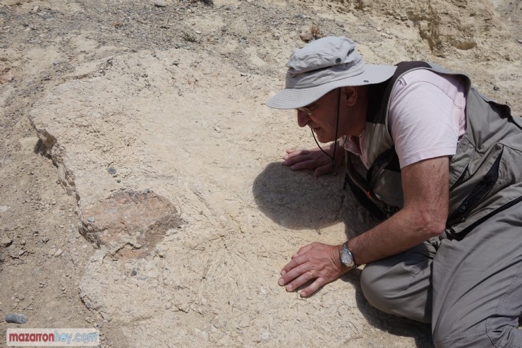 La Facultad de Ciencias Geológicas de la Universidad Complutense de Madrid organiza cada año una visita a Mazarrón.