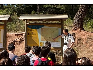 La Comunidad organiza actividades en los parques regionales para conmemorar el Día Mundial del Medio Ambiente 