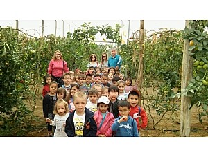 Los alumnos/as de 4 años de infantil del CEIP FRANCISCO CAPARRÓS han visitado un invernadero de tomates en Mazarrón