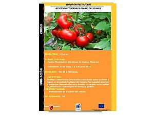 CURSO DE GESTIÓN INTEGRADA DE PLAGAS DE TOMATE 