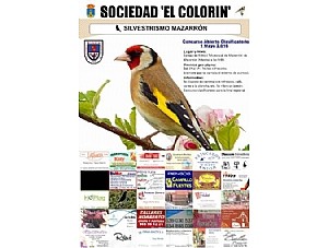 CONCURSO ABIERTO CLASIFICATORIO. Silvestrismo Mazarrón. 1 de mayo.