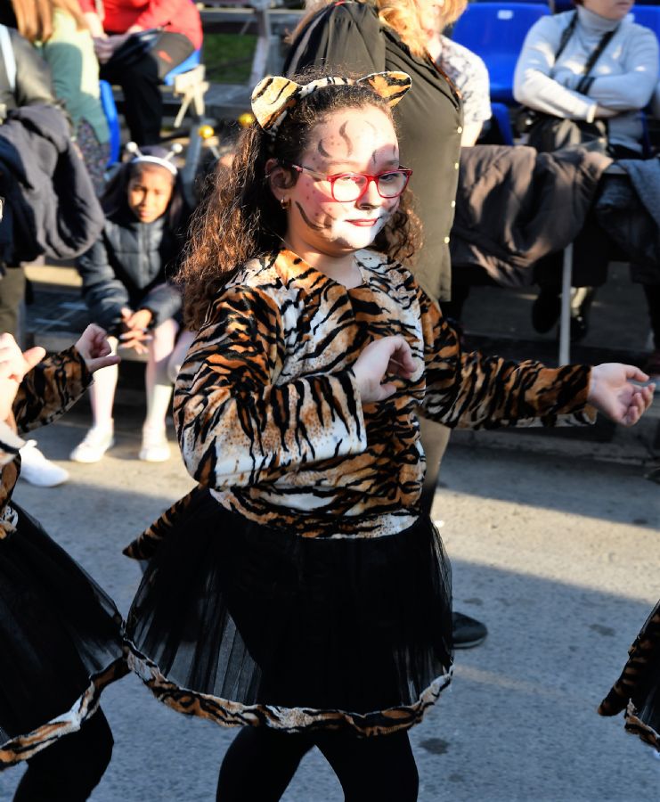 CARNAVAL INFANTIL CABEZO DE TORRES MURCIA VIERNES  - 319