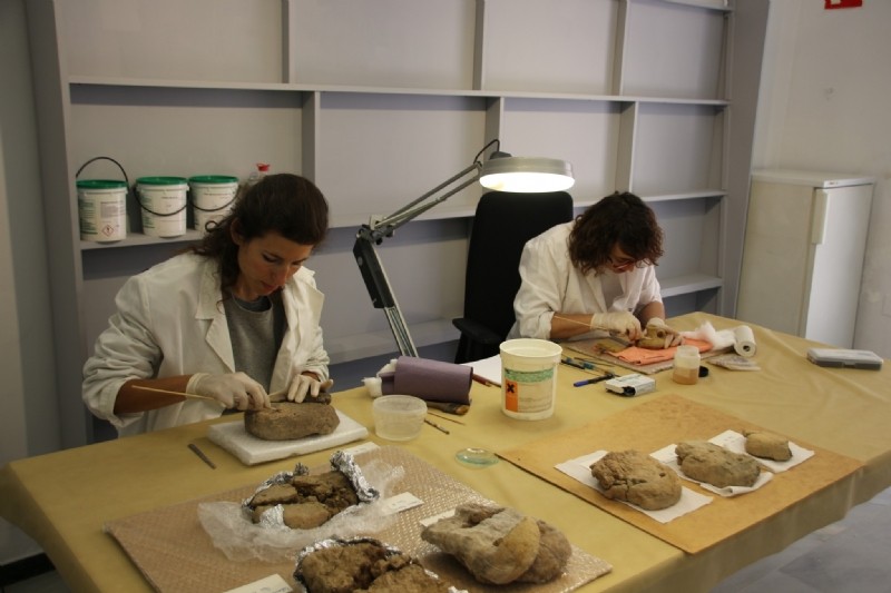 Alhama de Murcia inaugura el nuevo Laboratorio de Arqueología del Museo Arqueológico de los Baños